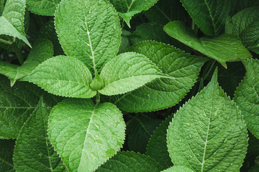 Similar image 20231085