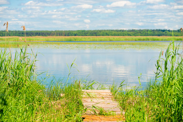 Similar image 20298255