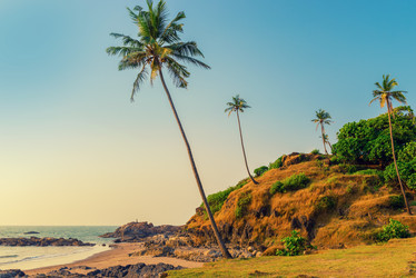 Similar image 20298305