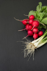 Similar image 20231135