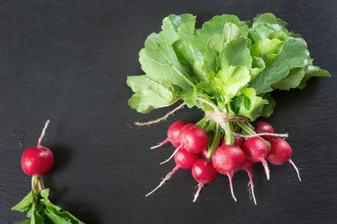 Similar image 20231194