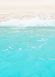 Similar image 20298707