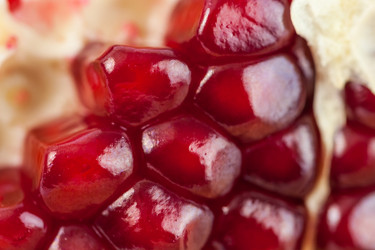 Similar image 20270553