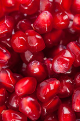 Similar image 20270556