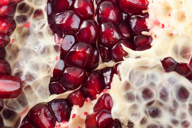 Similar image 20270569