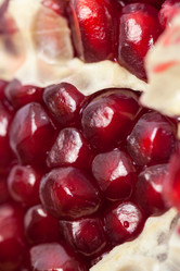 Similar image 20270573