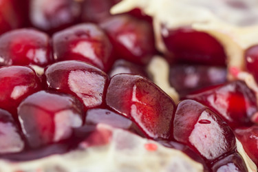 Similar image 20270575