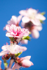 Similar image 20269718