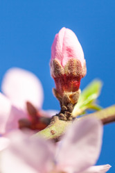 Similar image 20269720