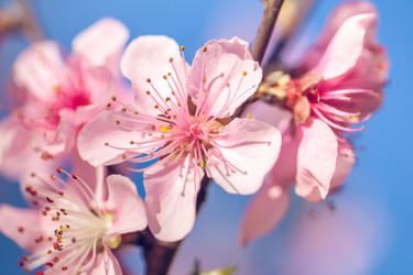 Similar image 20269722