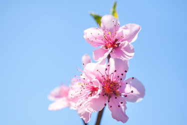 Similar image 20269724