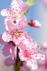 Similar image 20269726