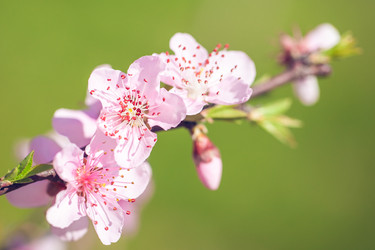 Similar image 20269735