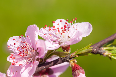 Similar image 20269779