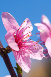 Similar image 20269783