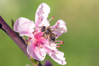 Similar image 20269885