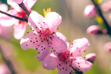 Similar image 20269888