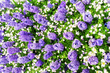 Similar image 20298853