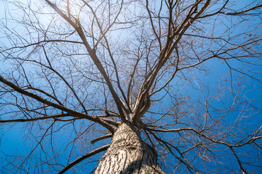 Similar image 20270496