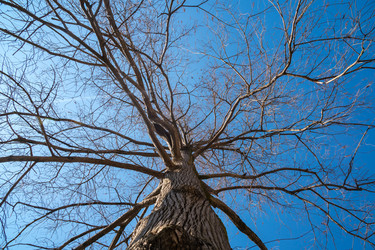 Similar image 20270499