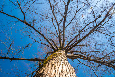 Similar image 20270502