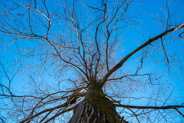 Similar image 20270523