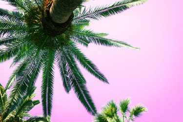 Similar image 20298899