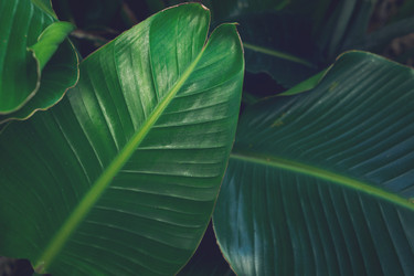 Similar image 20298858