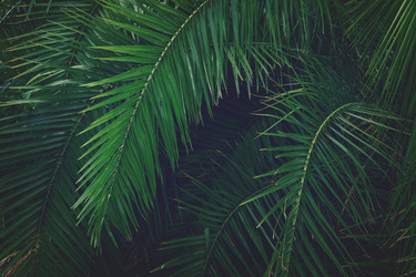 Similar image 20298862