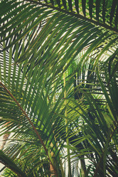 Similar image 20298919