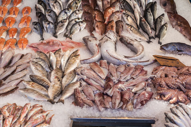 Similar image 20269919