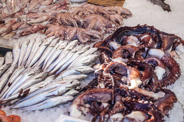 Similar image 20269922