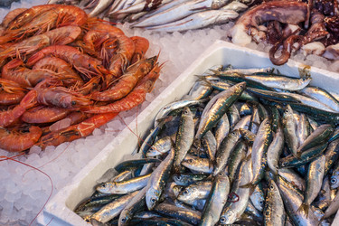 Similar image 20269926