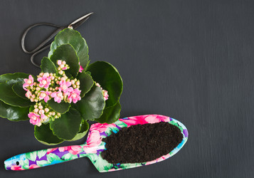 Similar image 20231140