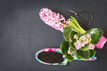 Similar image 20231141