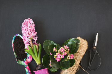 Similar image 20231154