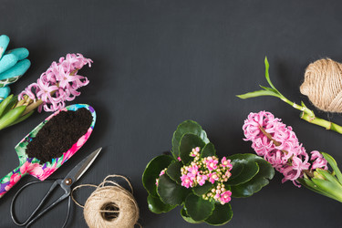 Similar image 20231161