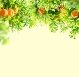 Similar image 20298811