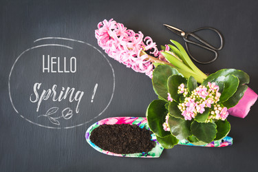 Similar image 20231199