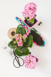 Similar image 20231090