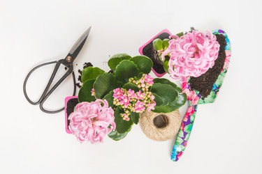 Similar image 20231124