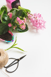 Similar image 20231125