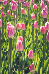 Similar image 20231127