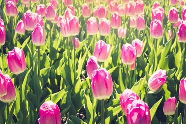 Similar image 20231129