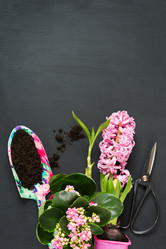 Similar image 20231182