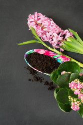 Similar image 20231171