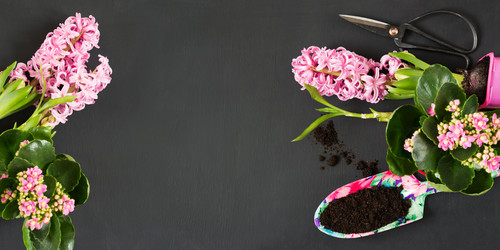 Similar image 20231174