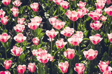 Similar image 20228943