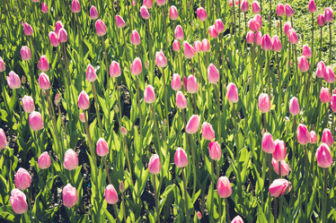 Similar image 20228944