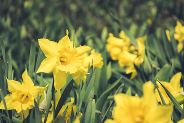 Similar image 20228946